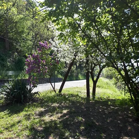 Dedin Raj Golubac