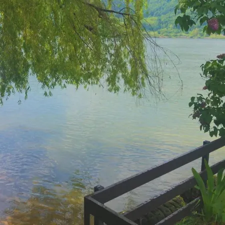 Dedin Raj Dom wakacyjny *