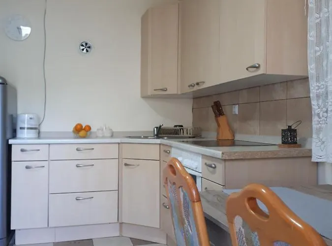 Dedin Raj Dom wakacyjny Golubac